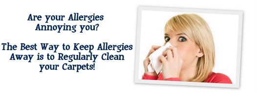 Carpet Cleaning Irvington,  NJ