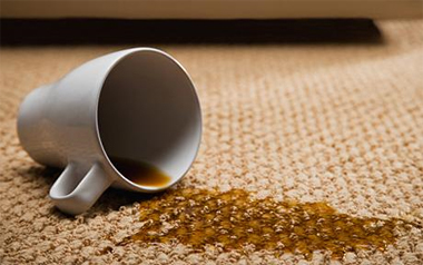 Carpet Cleaning Irvington,  NJ