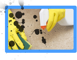 Carpet Cleaning Irvington,  NJ
