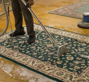 Carpet Cleaning Irvington,  NJ