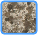 Irvington,  NJ Water Damage Restoration